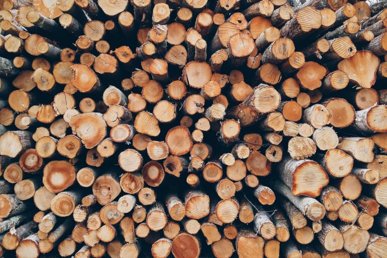 Legno ingegnerizzato, ecco come assorbire la CO2 nell’edilizia